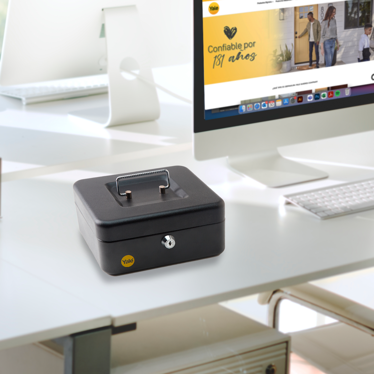 Caja de Dinero Mediana